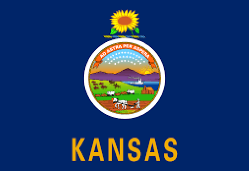 Kansas Flag